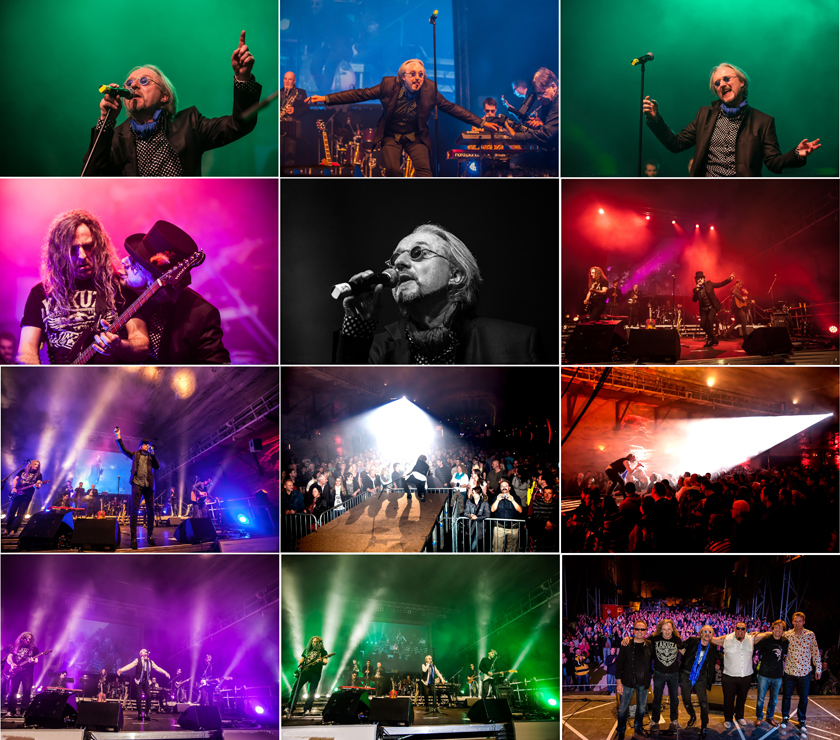 Marius Müller Westernhagen Tributeband Collage