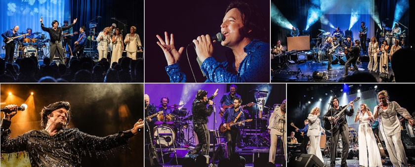 Neil Diamond Tribute Collage